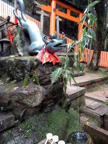 IMG_20180320_120526627