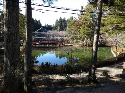 IMG_20180324_082255977